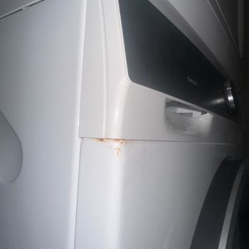 Siemens Çamaşır Makinesi: Küflenme Sorunu Ve Yetersiz Müşteri Hizmetleri