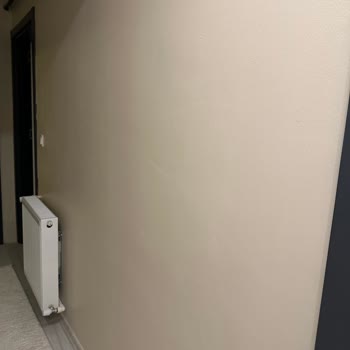 Beklenmedik Renk Sorunu