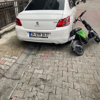 Park Halindeki Aracıma Düşen Martı Mobil Sorunu