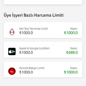 Vodafone Pay Uygulamasında Erişim Engeli Sorunu