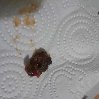 Domates Püresinden Çıkan Hoş Olmayan Sürpriz