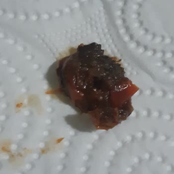 Domates Püresinden Çıkan Hoş Olmayan Sürpriz