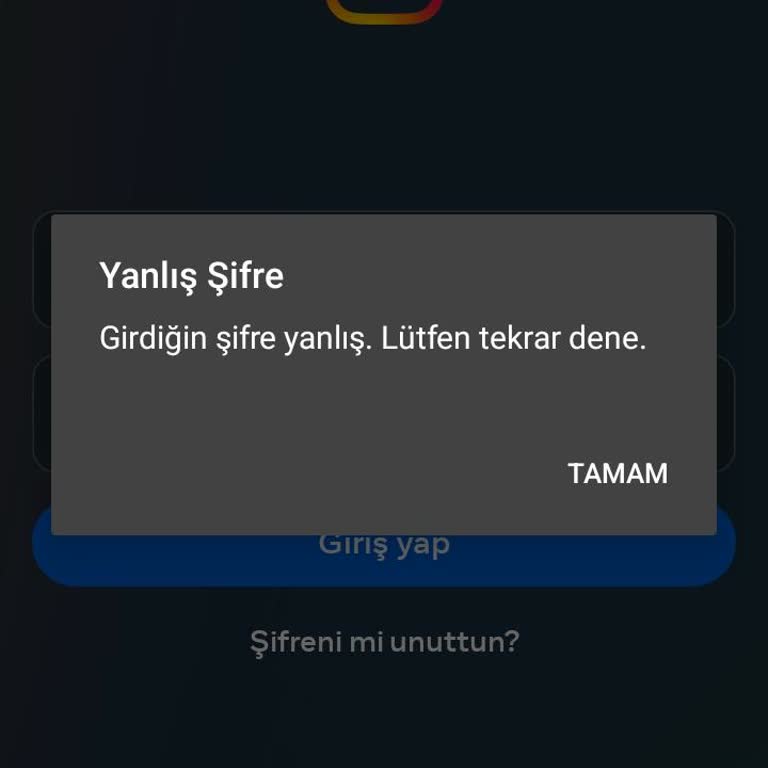 Instagram Hesabına Giriş Sorunu Ve Destek İhtiyacı!