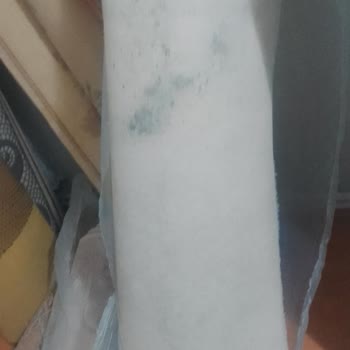 Tek Halı Yıkama (Zara) Islak Getirdikleri Halı Küflenmiş