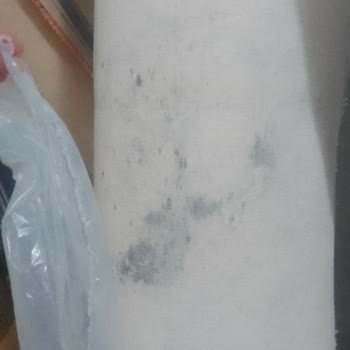 Tek Halı Yıkama (Zara) Islak Getirdikleri Halı Küflenmiş