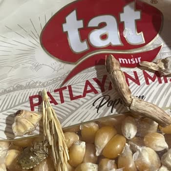 Tat Marka Mısırda Böcek Ve Çöp Şoku