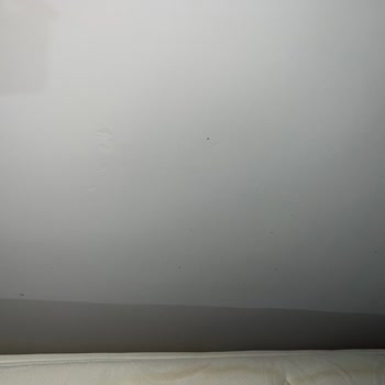 Antalya Yeşilçam Koltuk Yıkama Tam Bir Hayal Kırıklığı!