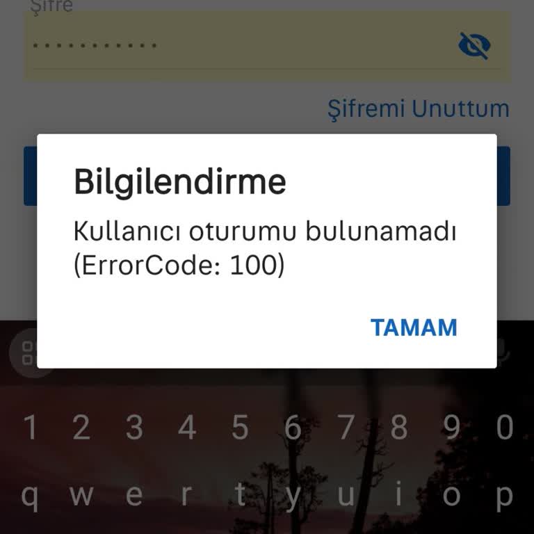 Sahibinden Uygulamasında Giriş Sorunu Ve Yetersiz Müşteri Hizmetleri