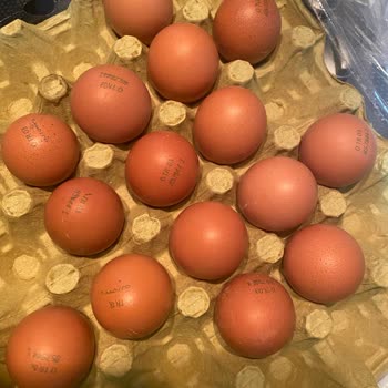 Organik Yumurtalarda Eksik Damga Sorunu