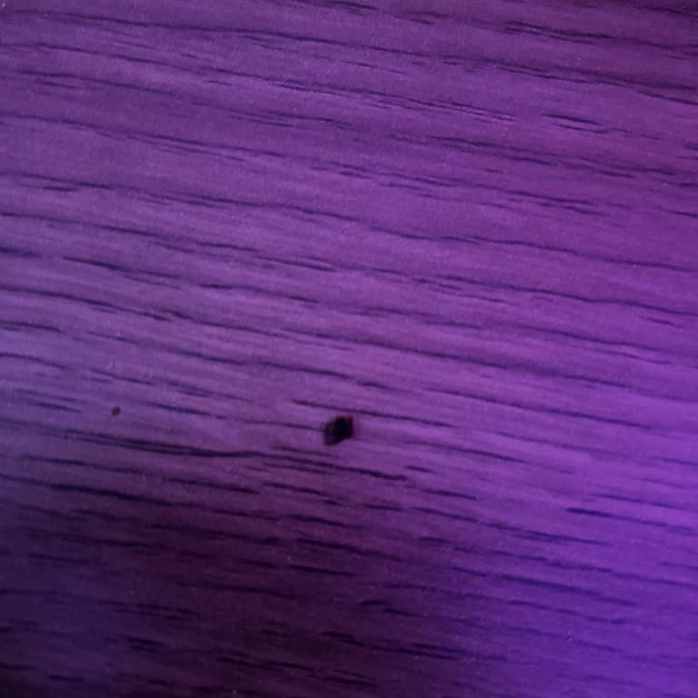 Getir Büyük'ten Aldığım Ekmekte Saç Ve Taş Çıktı