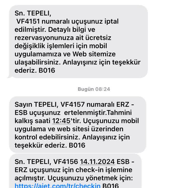Anadolu Jet'in İptal Ve Erteleme Krizi