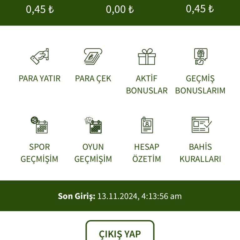 Kazandığım Paranın Hesaptan Kaybolması