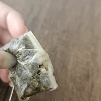 Doğadan Poşet Çayda İstenmeyen Sürpriz: Saç Ve Kıl Şoku!