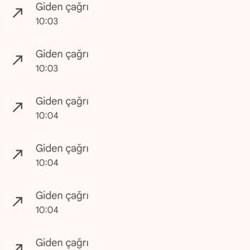 Belediye Hizmetlerine Erişim Sorunu