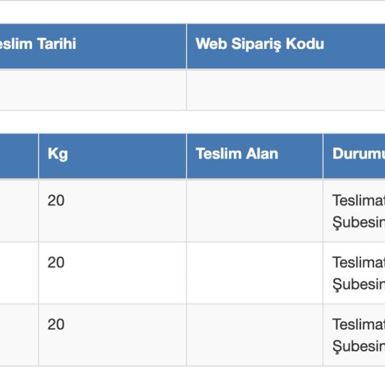 Sürat Kargo'da Kaybolan Kargom: 10 Günlük Bekleyiş