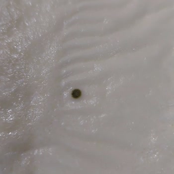 Tarihi Geçmiş Ürün Ve Yetersiz Müşteri Hizmetleri