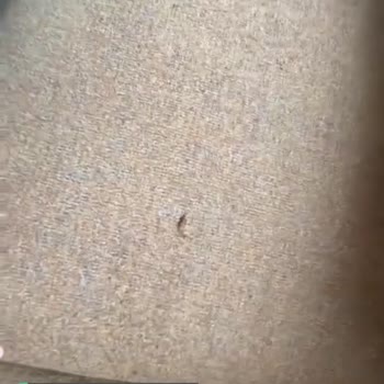 Doğtaş Mobilya'nın Yaşattığı Mağduriyet!