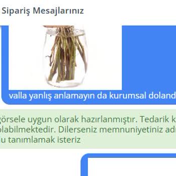 Hayal Kırıklığı: Görseldeki Çiçek Gelmedi