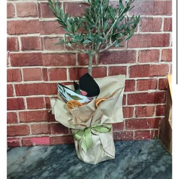 Yanlış Çiçek Gönderimi Ve Müşteri Memnuniyetsizliği