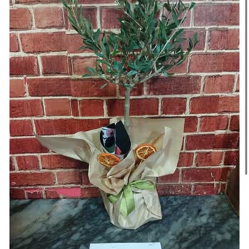 Yanlış Çiçek Gönderimi Ve Müşteri Memnuniyetsizliği