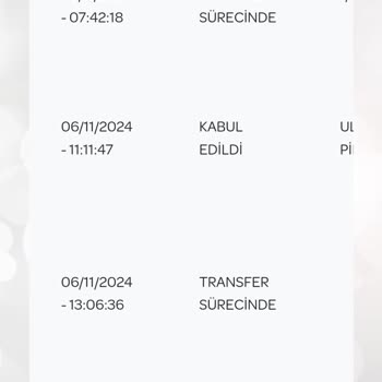 Kargo Teslimatında Yanlış Yönlendirme Ve Kötü Muamele