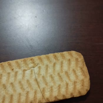 Gesaş Gıda Bisküvide Hijyen Sorunu