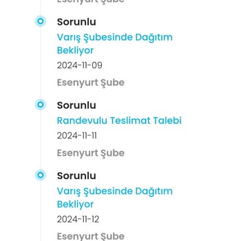 Teslim Edilmeyen Kargo Ve Ulaşılamayan Şube Sorunu