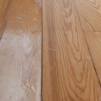 Zeomax Grup Gönderdiği Servis Evime Zarar Verdi