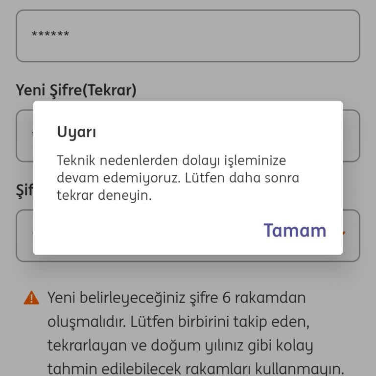 ING Bank İnternet Bankacılığı Sorunları