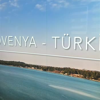 Samsung Televizyonun Kronik Ekran Sorunu