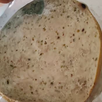 Küflü Ve Kötü Kokulu Hindi Füme Şoku