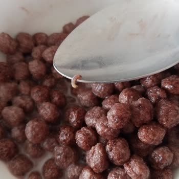 Son Kullanma Tarihi Geçmemiş Üründen Kurt Çıkması