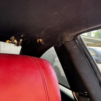 BMW 3.20i Araçta Kronik Deformasyon Sorunları