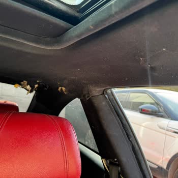 BMW 3.20i Araçta Kronik Deformasyon Sorunları