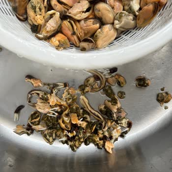 Temizlenmemiş Midyelerle Karşılaştım