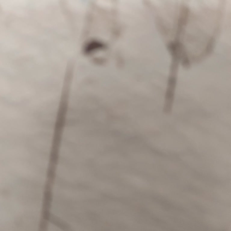 Teşhir Ürün Şoku: Bozuk Akülü Araba