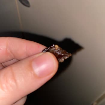 Tarım Kredi Market'ten Alınan Kuru Üzümde Kurt Çıkması