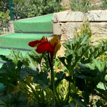 Psikoterapist Mehmet Ulubey Randevu Alma Zorluğu Ve Katı Ev Ödevleri!