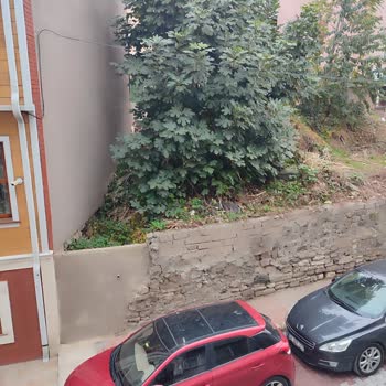 Eyüpsultan Belediyesi Boş Arsa Şikayeti