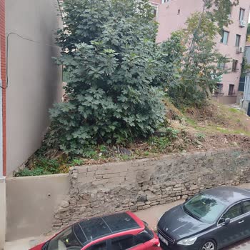 Eyüpsultan Belediyesi Boş Arsa Şikayeti