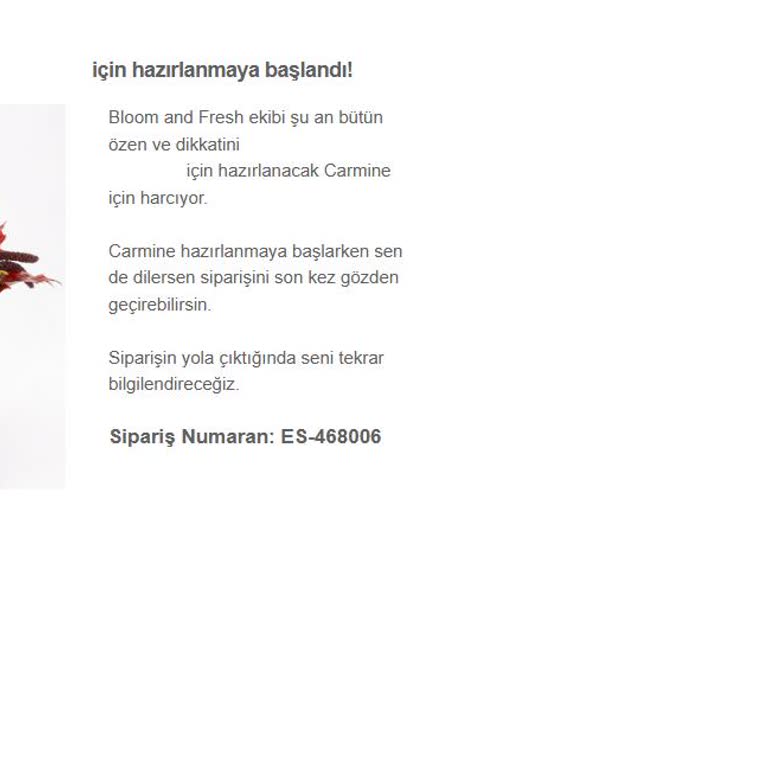 Özel Gün Siparişimde Alternatifsiz Erteleme Sorunu