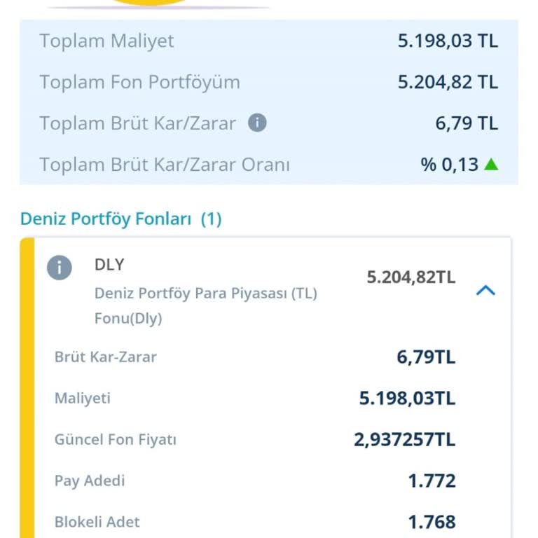 Bilgim Dışında Alınan Fon Ve Hesap Blokesi Sorunu