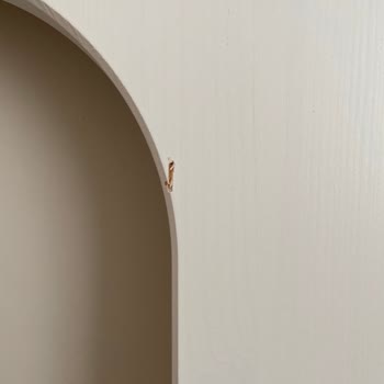 Hasarlı Ürün Ve İade Sorunlarıyla Mücadele