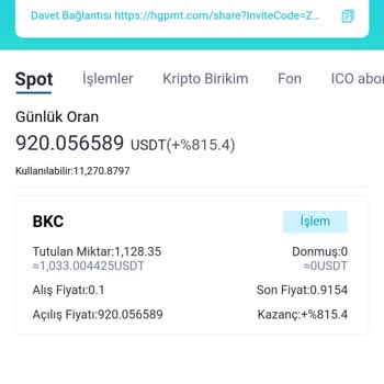 Yanıltıcı Yatırım Vaadi Ve Para Çekme Sorunu