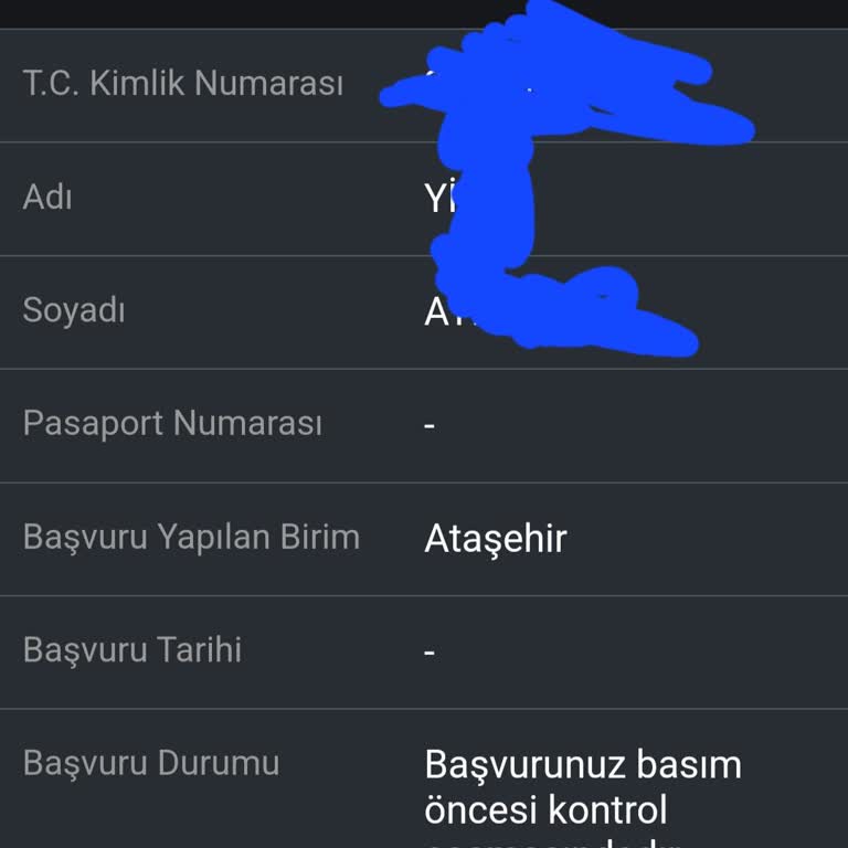 Pasaport Süresi Belirsizliği Ve Seyahat Planlarımın Riski