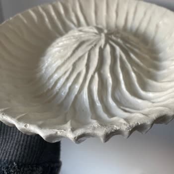Shopier'de Hayal Kırıklığı: Görsellerle Alakasız Ürünler