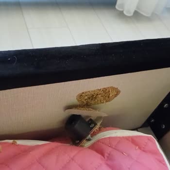 Taşpınar Müşteri Hizmetlerinde Yetersiz Destek