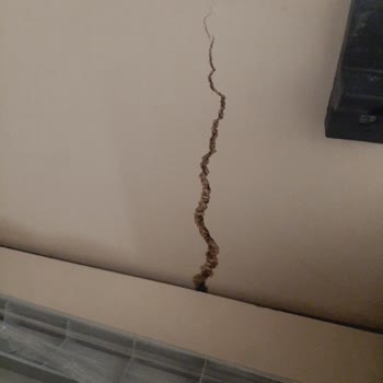Doğtaş Baza Orta Kısım Kırılma Problemi Ve Yüksek Servis Ücreti