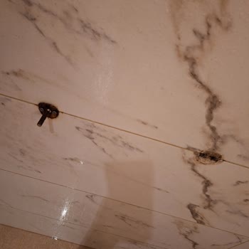 Beklentilerin Altında Kalan Otel Deneyimi