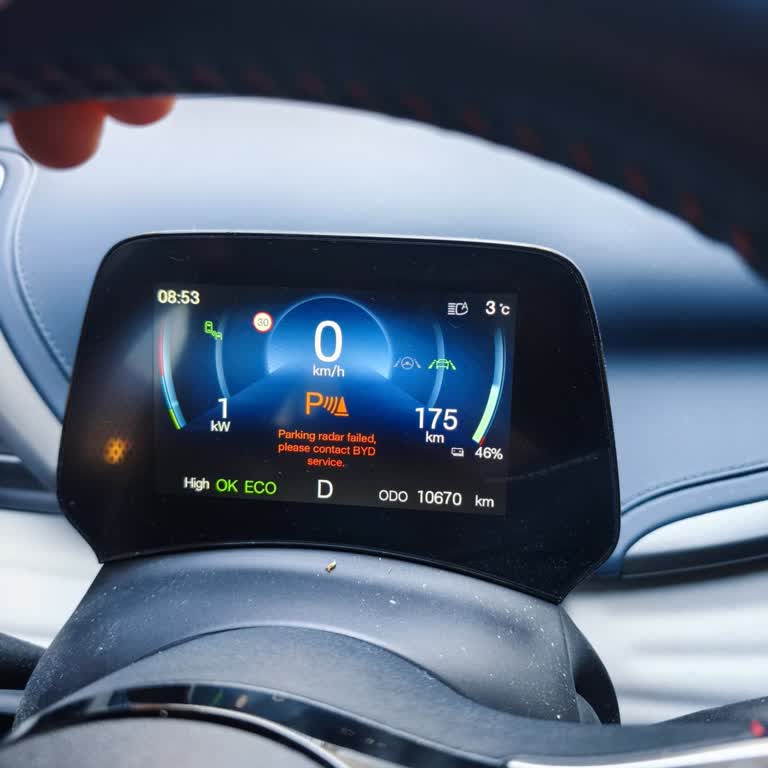 Byd Auto Servis Mağduriyeti ATTO3 Güncelleme Ve İletişim Sorunları